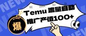 专注于Temu商家提供精准曝光浏览量,助力店铺排名提升和转化,单机日收入80-130【揭秘】-淘金日记