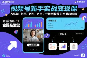视频号新手实战变现课，从认知、起号、话术、选品、开播到投放的全链路运营-淘金日记