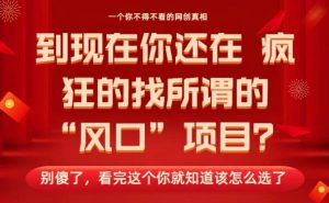 马上26年了，你还在找所谓的风口项目？别傻了，看完这个你全都懂了！【揭秘】-淘金日记