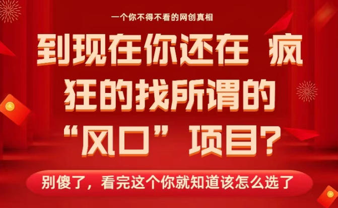 马上26年了，你还在找所谓的风口项目？别傻了，看完这个你全都懂了！【揭秘】-淘金日记