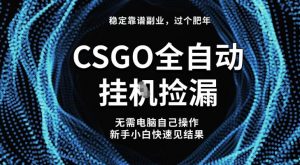 【稳定副业】全球最热门游戏CSGO全自动捡漏，最新玩法，新手小白日入5张+【揭秘】-淘金日记