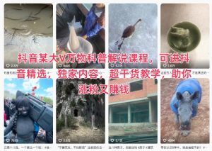 抖音某大V万物科普解说课程，可进抖音精选，独家内容，超干货教学，助你涨粉又賺钱-淘金日记