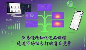 亚马逊精细化选品课程，通过市场细分打破盲目竞争-淘金日记