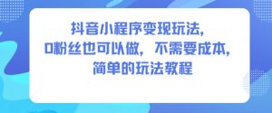 抖音小程序变现玩法,0粉丝也可以做,不需要成本,简单的玩法教程-淘金日记