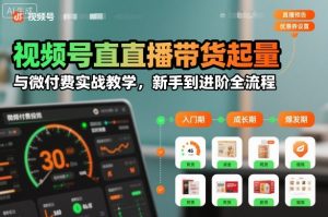 视频号直播带货起量与微付费实战教学,新手到进阶全流程-淘金日记