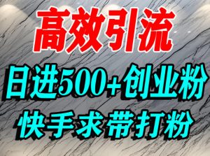 怎么打创业粉?快手求带视角精准引流创业粉,宝妈、学生群体日进500+精准流量-淘金日记