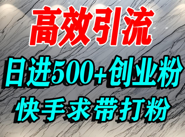 怎么打创业粉？快手求带视角精准引流创业粉，宝妈、学生群体日进500+精准流量-淘金日记