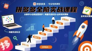 拼多多全阶实战课程,从新手小白到运营高手,海量实战玩法+全年实时更新【2025年10月更新】-淘金日记