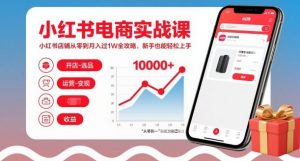 小红书电商实战课,小红书店铺从零到月入过1W全攻略,新手也能轻松上手-淘金日记