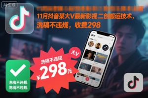 11月抖音某大V最新影视二创搬运技术，洗稿不违规，收费298-淘金日记