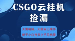 CSGO云挂G全自动捡漏,最新独家玩法,无需电脑操作,新手小白日入5张+【揭秘】-淘金日记