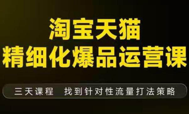 淘宝天猫精细化爆品运营（9月12-14杭州线下课），全方位拆解爆品打造逻辑【音频+字幕+文档】-淘金日记