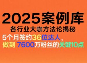 2025案例库，收录各行业大咖的方法论，各行业大咖方法论揭秘-淘金日记