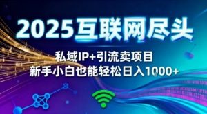 2025网创尽头王炸项目！私域IP+精准引流，新手小白在家躺賺日入1k，零经验也能上手【揭秘】-淘金日记