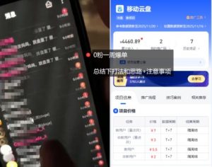 移动云盘项目,我们自己实操爆单一周4000与经验总结-淘金日记