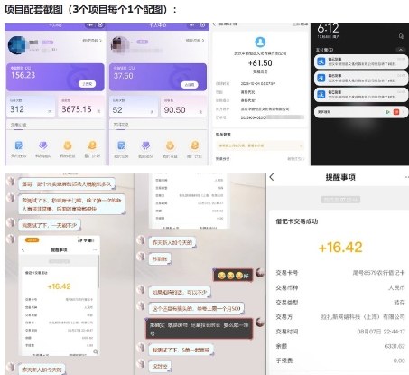 当天能收益的3个小项目拆解_包括平台+操作流程-淘金日记