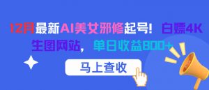 12月最新AI美女邪修起号！白嫖4K生图网站，单日收益8张+-淘金日记