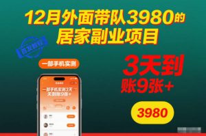 12月外面带队3980的居家副业项目,一部手机实测3天到账9张+,首发教程【揭秘】-淘金日记