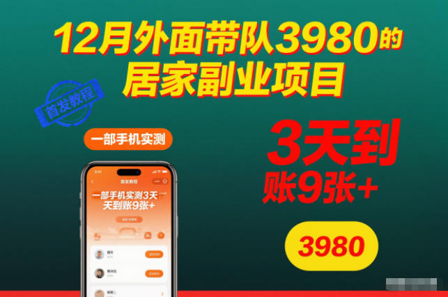 12月外面带队3980的居家副业项目,一部手机实测3天到账9张+,首发教程【揭秘】-淘金日记