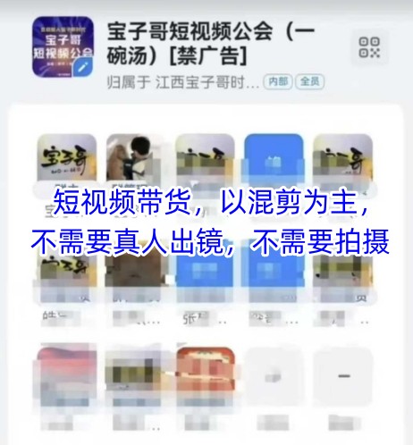 宝子哥头部团队短视频带货,以混剪为主,不需要真人出镜,不需要拍摄【更新11月】-淘金日记