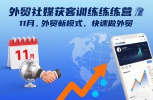 外贸社媒获客训练营11月，外贸新模式，快速做外贸-淘金日记
