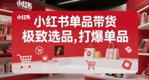 小红书单品带货，极致选品，打爆单品（更新）-淘金日记