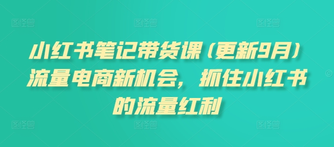 小红书笔记带货课(更新25年12月)流量电商新机会,抓住小红书的流量红利-淘金日记