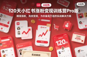 120天小红书涨粉变现训练营Pro版,精准涨粉,高效变现,为你量身打造的实战解决方案-淘金日记