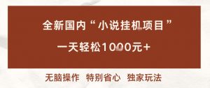 全新国内小说挂G项目，多窗口无脑跑，一天轻松1k+，特别省心【揭秘】-淘金日记
