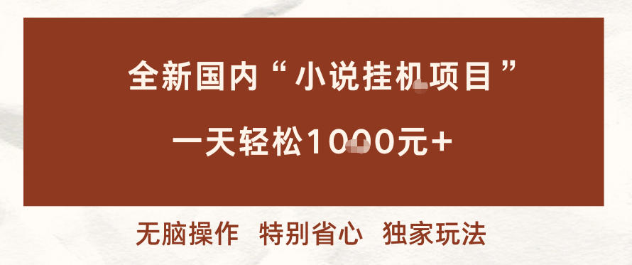 全新国内小说挂G项目，多窗口无脑跑，一天轻松1k+，特别省心【揭秘】-淘金日记