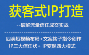 获客型IP打造，破解流量信任成，四类短视频布局+文案钩子指令创作IP三大信任状+IP变现四大模式-淘金日记