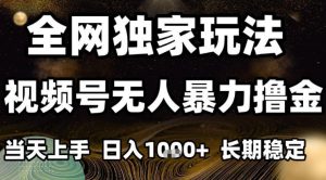 年底最新独家视频号无人直播撸礼物，小白也能轻松日入1k+，长期稳定，可批量复制【揭秘】-淘金日记