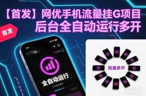 【首发】网优手机流量挂G项目，后台全自动运行，可无限批量多开【揭秘】-淘金日记