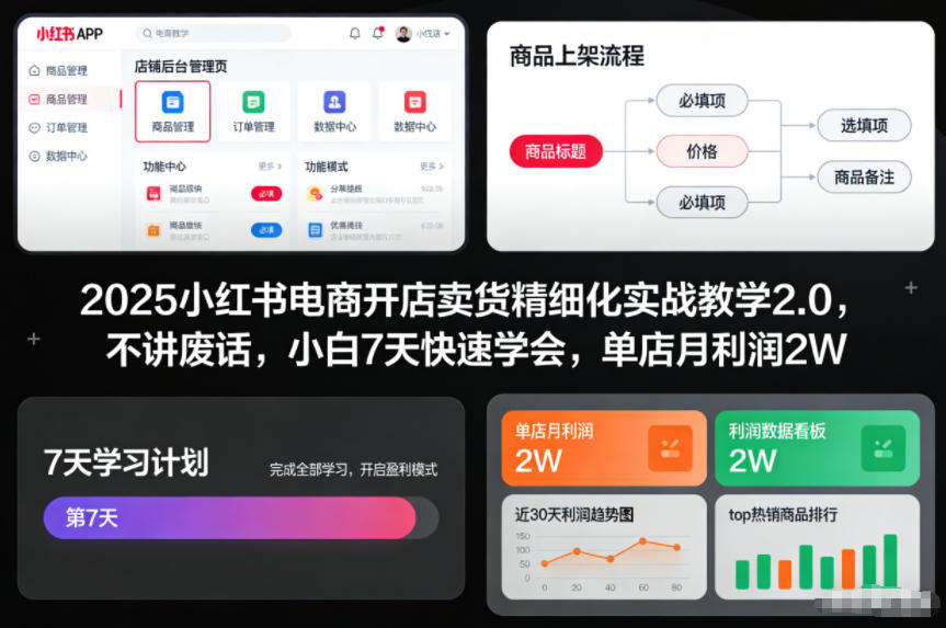 2025小红书电商开店卖货精细化实战教学2.0,不讲废话,小白7天快速学会,单店月利润2W-淘金日记