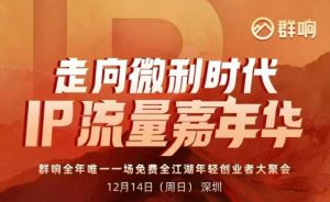 2025ip嘉年华万人12月14深圳线下课，走向微利时代，IP流量嘉年华，实操性极强的商业干货课-淘金日记