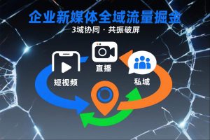 短视频全域商业模式，企业新媒体全域流量掘金，3域协同，共振破屏，短视频-直播-私域-地域-淘金日记