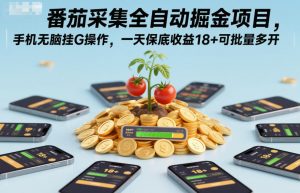番茄采集全自动掘金项目,手机无脑挂G操作,一天保底收益18+可批量多开【揭秘】-淘金日记