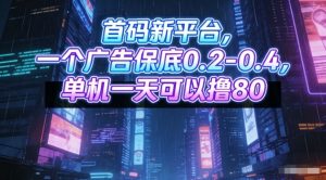 首码新平台,一个广告保底0.2-0.4,单机一天可以撸80,可矩阵操作【揭秘】-淘金日记