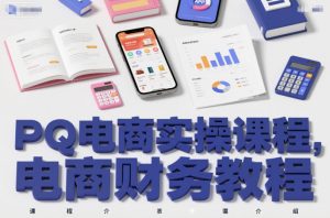 PQ电商实操课程，电商财务教程-淘金日记