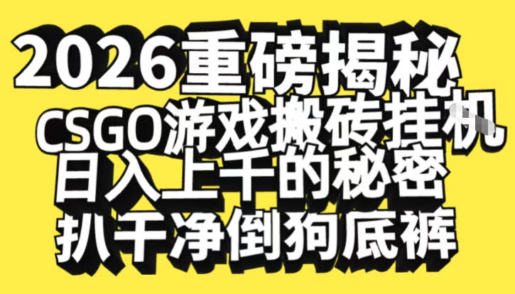 2026开年重磅解密，CSGO游戏搬砖挂G日入1k+的秘密，把倒狗的底裤扒干【揭秘】-淘金日记