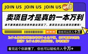 知识付费,你离月入10W只差一个开始!26年给自己一个机会,挖金子不如买铲子【揭秘】-淘金日记