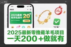 2025最新零撸薅羊毛项目，纯手机操作，20秒一单，无任何门槛，一天200+做就有【揭秘】-淘金日记