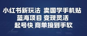 小红书新玩法，卖国学手机贴，蓝海项目，变现灵活，起号快，商单接到手软-淘金日记