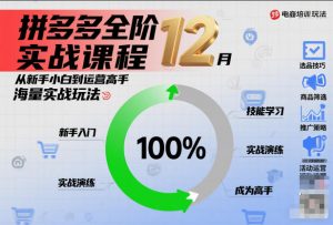 拼多多全阶实战课程12月,从新手小白到运营高手,海量实战玩法-淘金日记