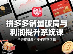 拼多多销量破局与利润提升系统课,全维度讲解拼多多运营逻辑-淘金日记