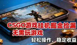 CSGO游戏挂G掘金捡漏，不需要玩游戏，操作简单，收益稳定【揭秘】-淘金日记