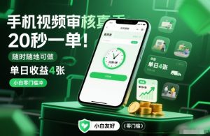手机视频审核真香!20秒一单,随时随地可做,单日收益4张,小白零门槛冲【揭秘】-淘金日记