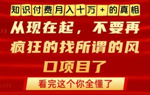 知识付费月入10个W的真相，做网创项目这一个就够了，不要再疯狂的找所谓的风口项目【揭秘】-淘金日记