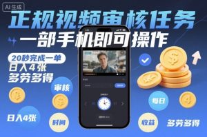 正规视频审核任务，一部手机即可操作，20秒完成一单，日入4张，多劳多得【揭秘】-淘金日记
