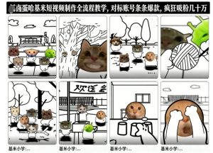 卤蛋哈基米短视频制作全流程教学,条条爆款,疯狂吸粉几十万-淘金日记